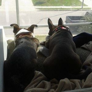 Meet your Posher, Doug